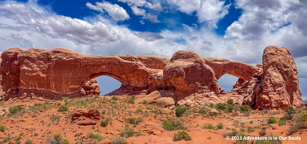 Windows Section - Arches National Park