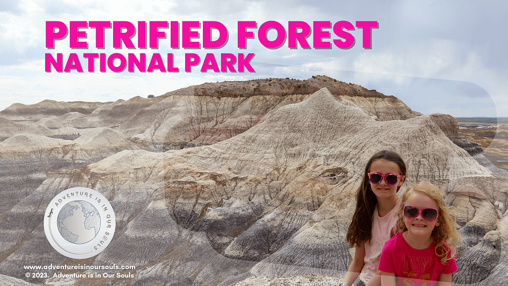 Petrified Forest National Park