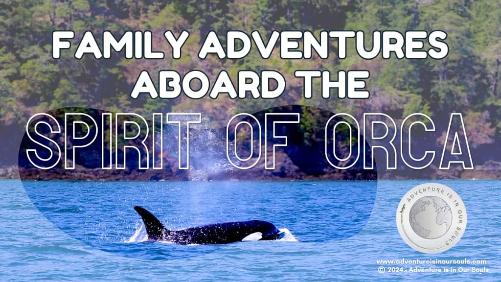 Anacortes Washington Whale Watching Cover