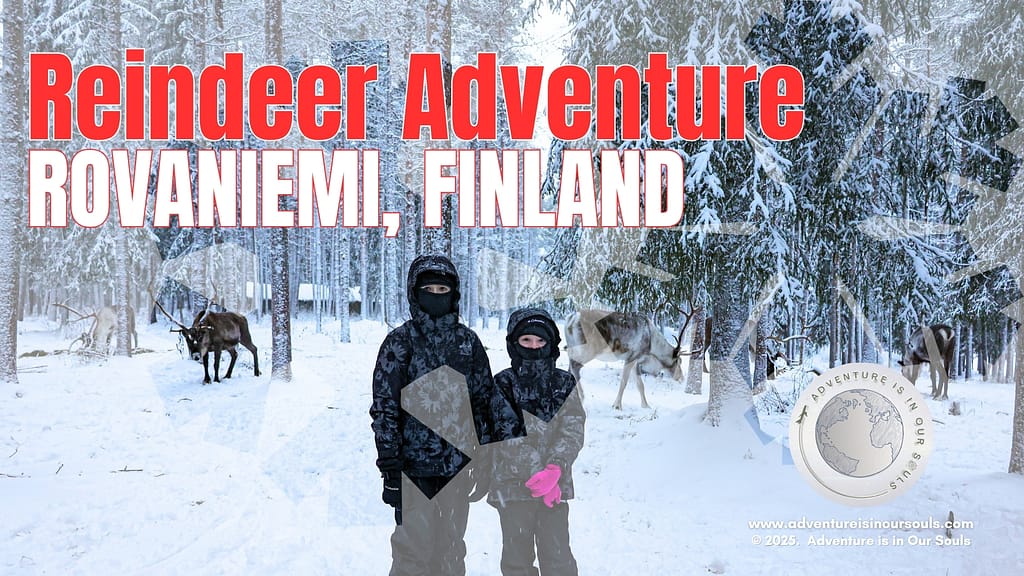 Reindeer Finland Cover