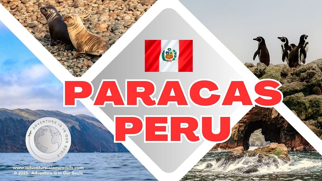 Paracas Peru Cover
