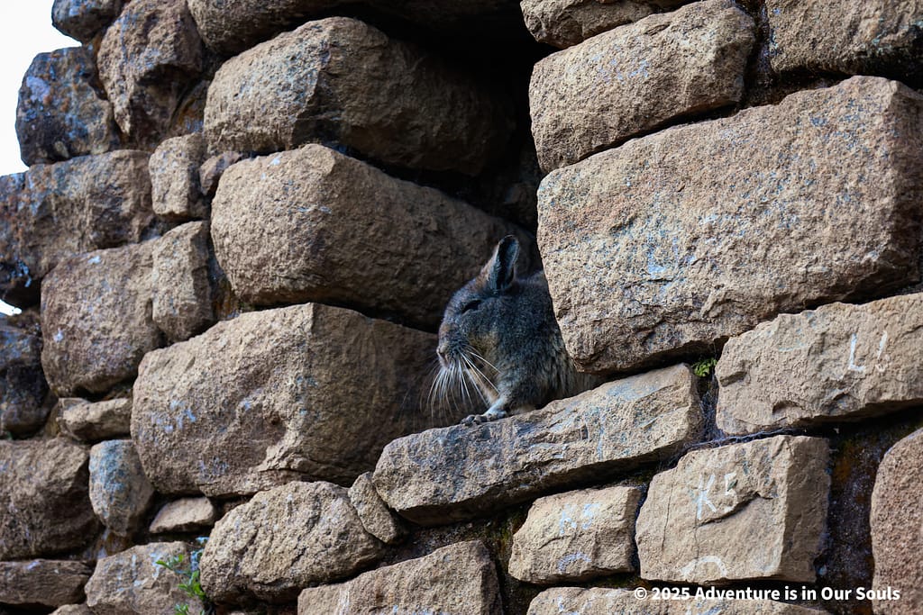 Machu Picchu Peru Circuit 2A