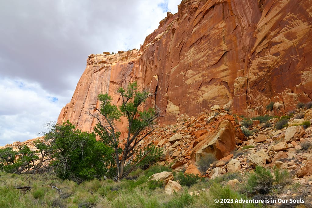 Capitol Reef National Park