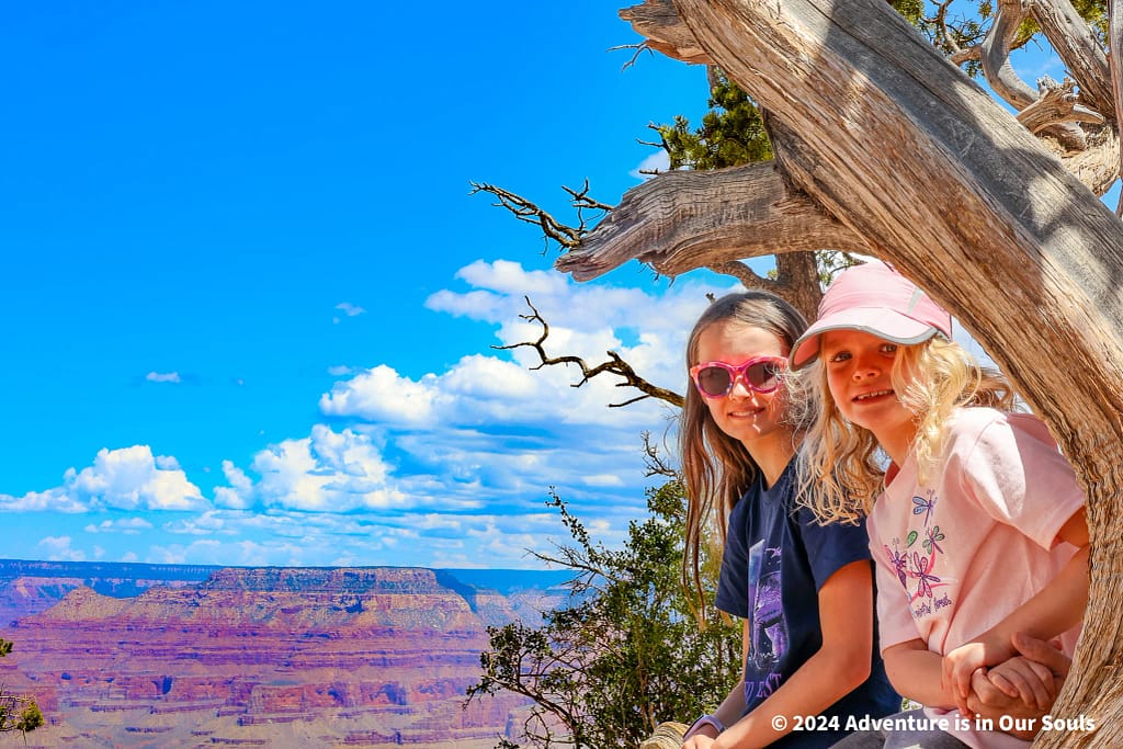 Buttercup and Spider Monkey Trail of Time at Grand Canyon National Park