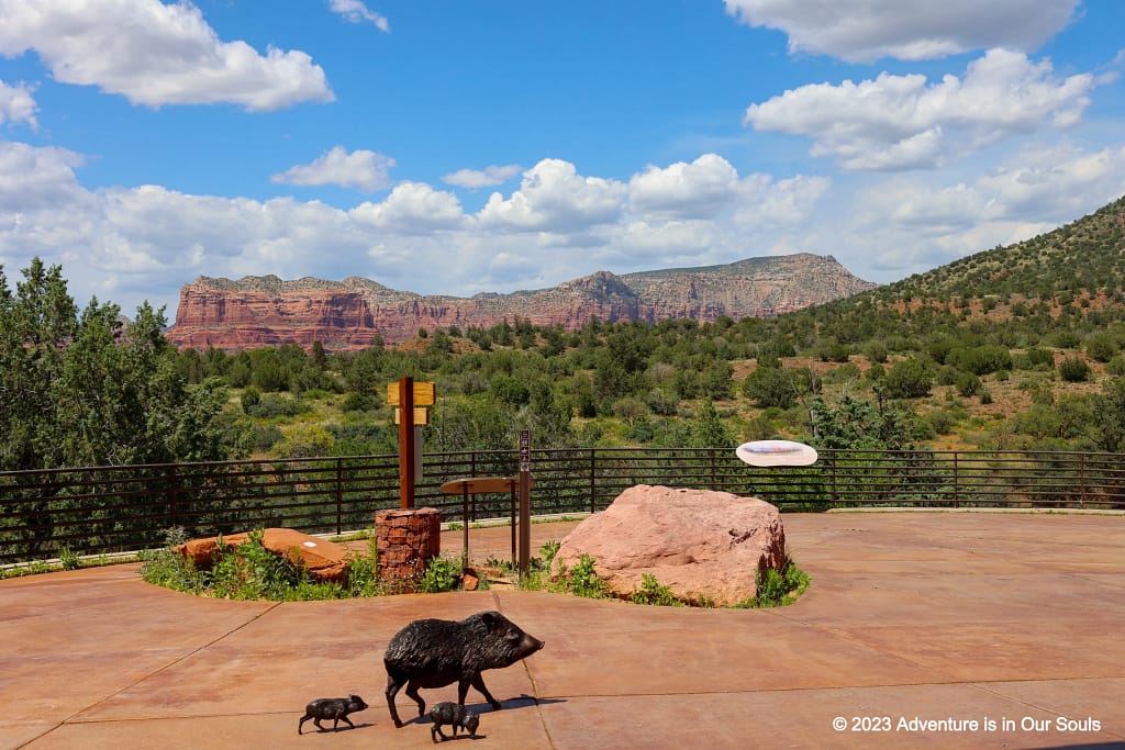 Coconino NF Sedona, Arizona