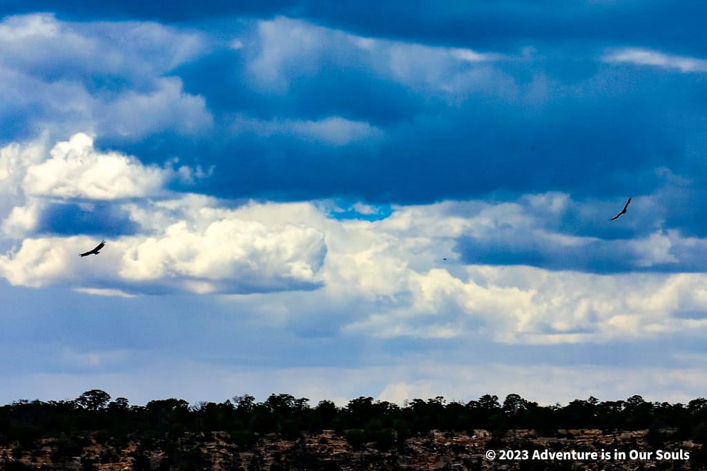 Ranger Talk Grand Canyon National Park-4