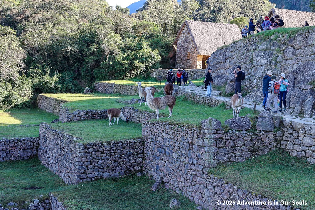 Machu Picchu Peru Circuit 2A