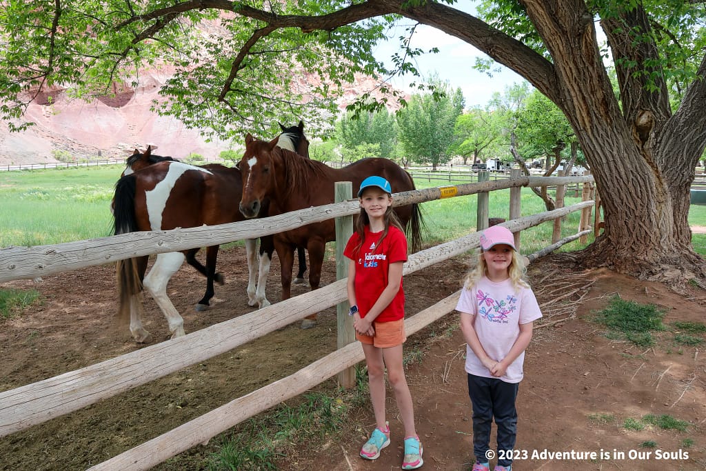 Capitol Reef National Park
