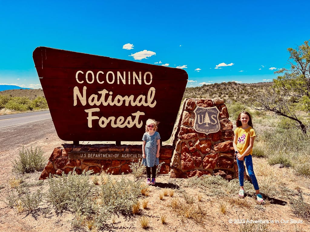 Coconino NF Sedona, Arizona