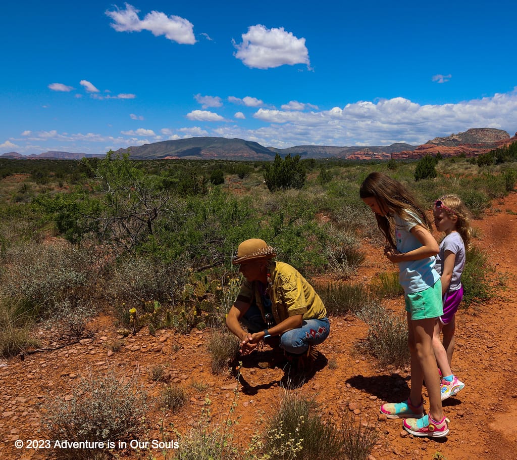 Jeep Adventure Sedona, Arizona