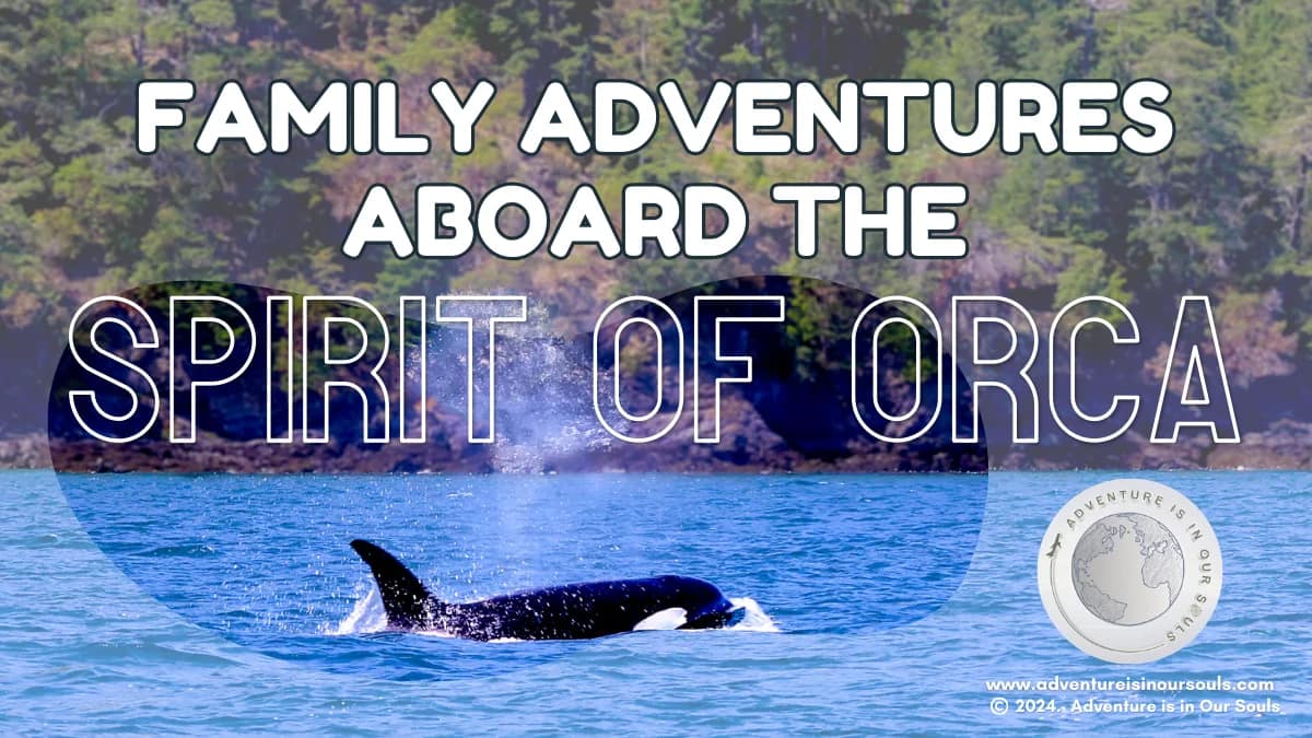 Anacortes Washington Whale Watching Cover