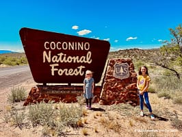 Coconino NF Sedona, Arizona