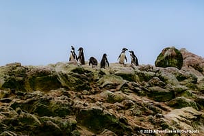 Paracas Peru