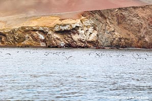 Paracas Peru