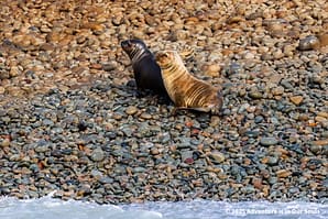 Paracas Peru