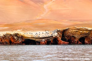 Paracas Peru