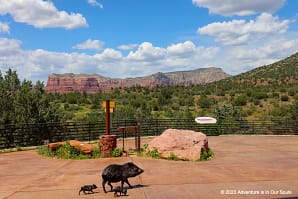 Coconino NF Sedona, Arizona