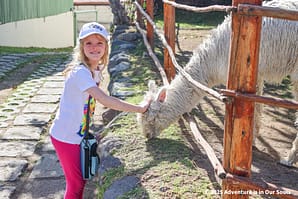 Arequipa Peru - Mundo Alpaca