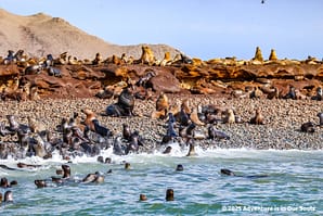 Paracas Peru