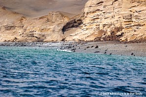 Paracas Peru