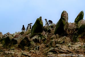 Paracas Peru