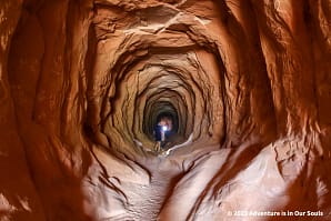 Belly of the Dragon