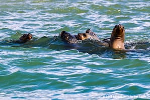 Paracas Peru