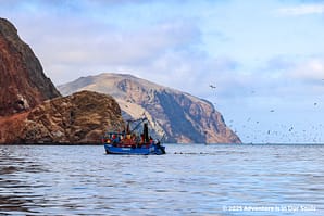 Paracas Peru