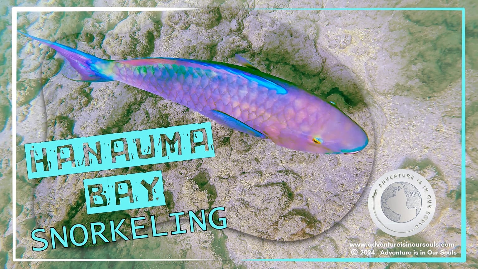 Hanauma Bay Hawaii Cover