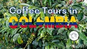 Coffee Tour - Medellin Colombia