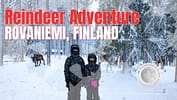 Reindeer Finland Cover