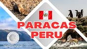 Paracas Peru Cover