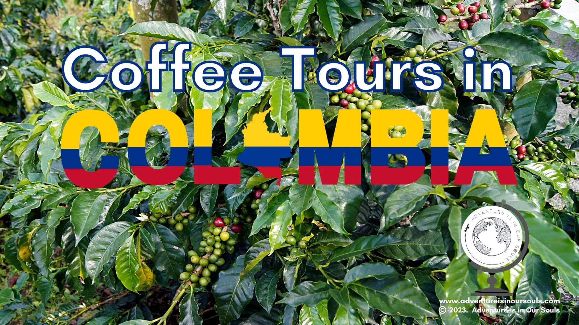 Coffee Tour - Medellin Colombia