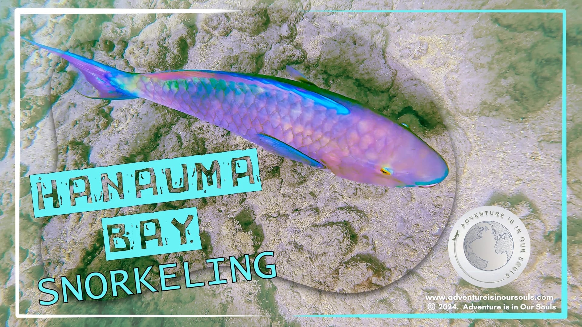 Hanauma Bay Hawaii Cover