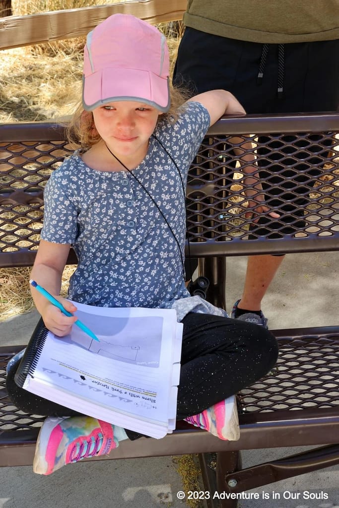 Spider Monkey working on Junior Ranger materials at Montezuma Castle NM