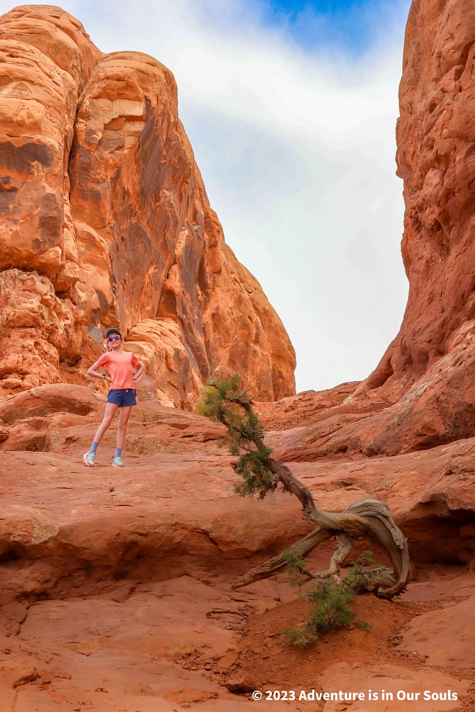 Garden of Eden - Arches National Park
