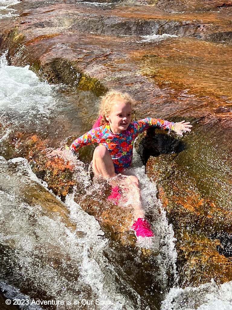 Spider Monkey at Slide Rock State Park in Sedona, Arizona
