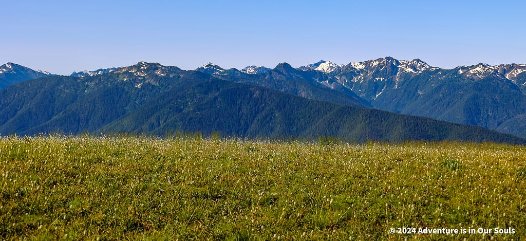Olympic National Park