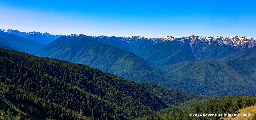Olympic National Park