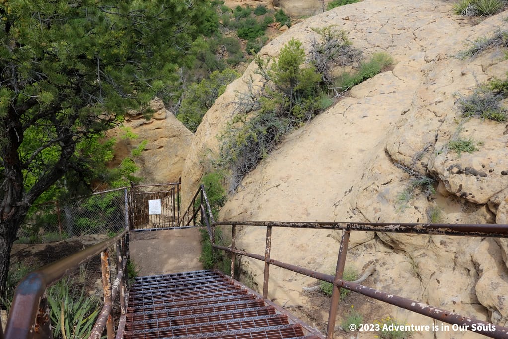 Cliff Palace - Mesa Verde National Park
