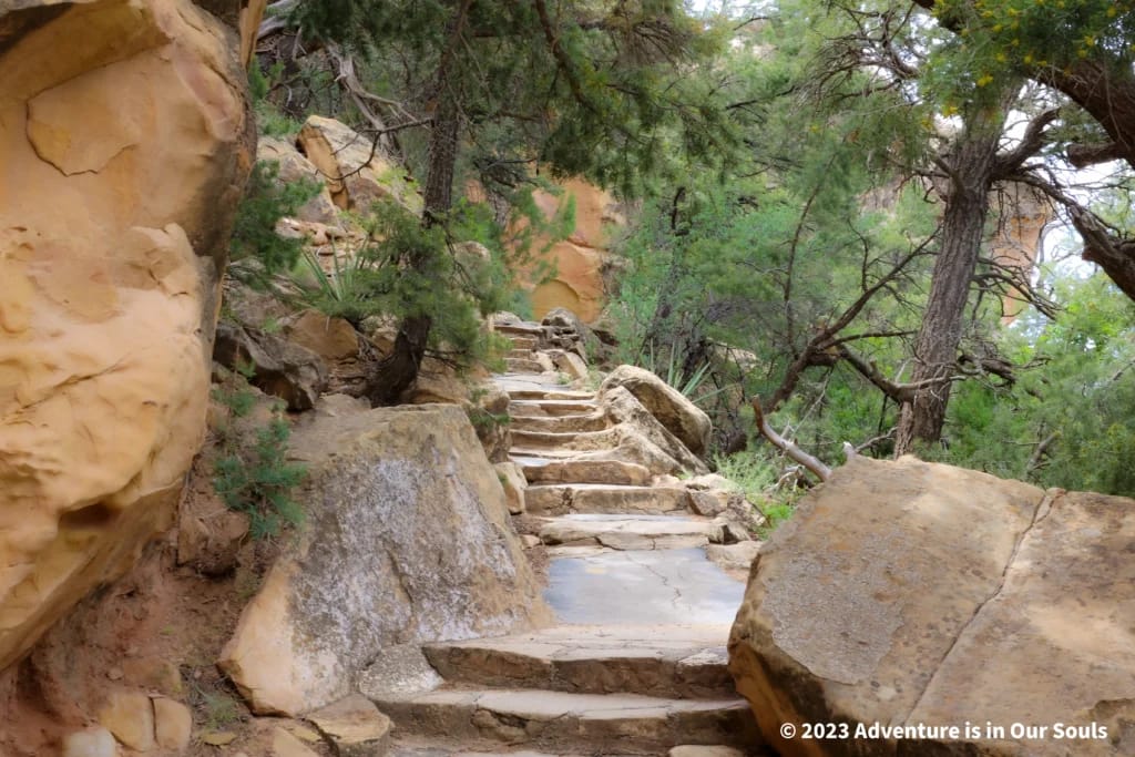 Cliff Palace - Mesa Verde