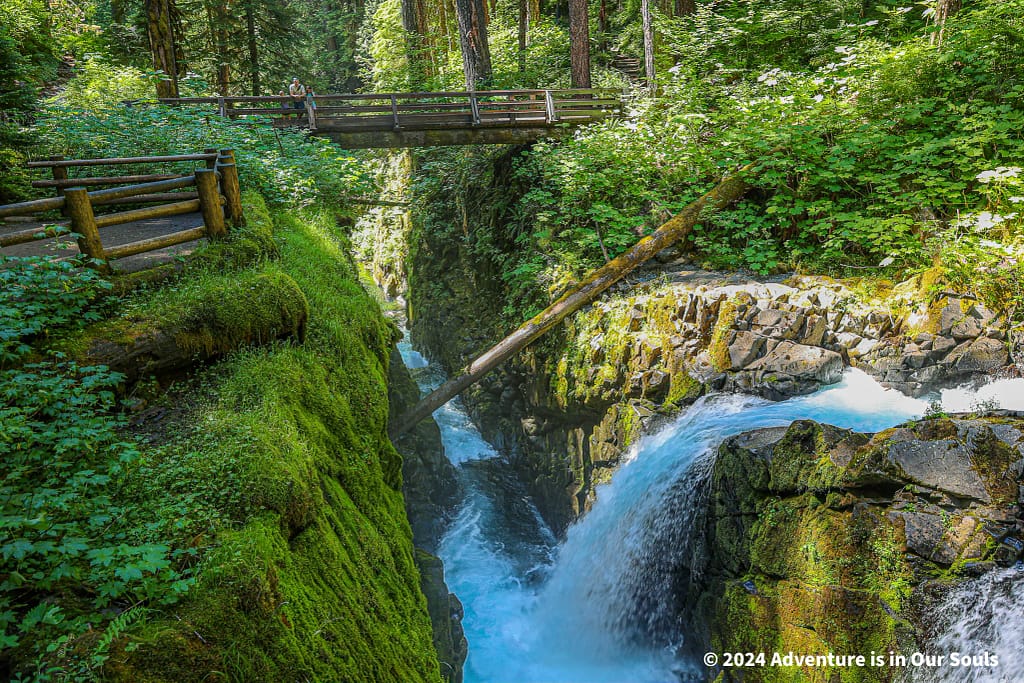 Olympic National Park