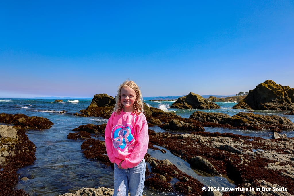 Glass Beach / Fort Bragg