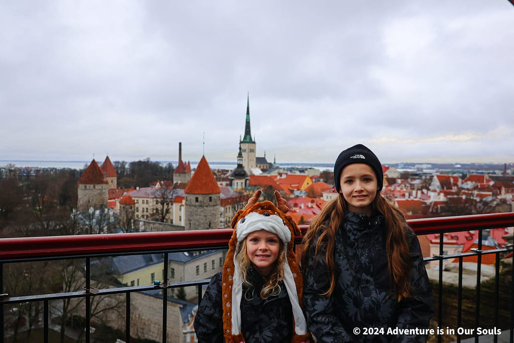 Patkuli Viewing Platform - Estonia