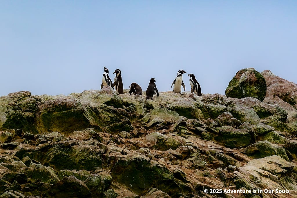 Paracas Peru
