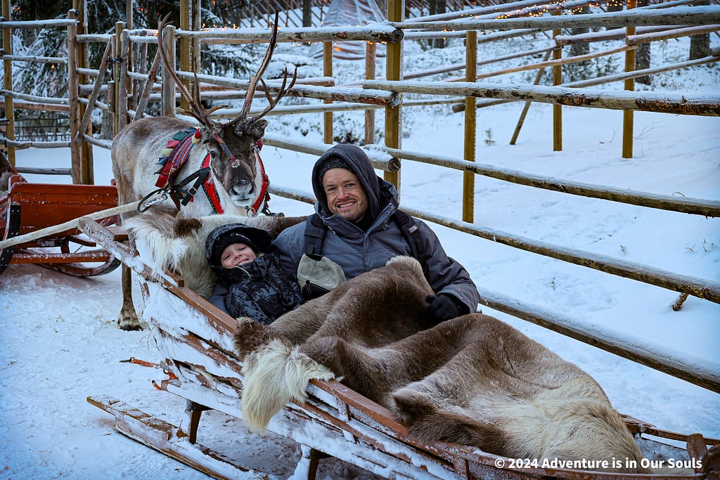 Reindeer Santa Claus Village Finland