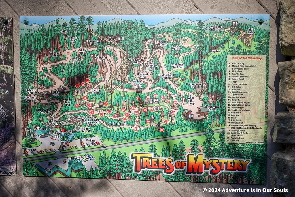 Trees of Mystery - Redwoods