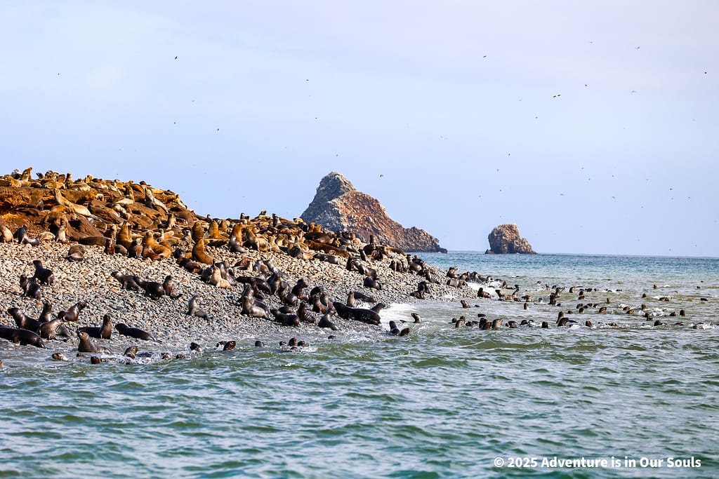 Paracas Peru