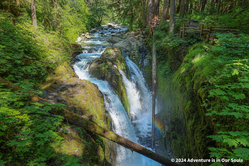 Olympic National Park