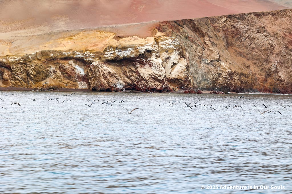 Paracas Peru
